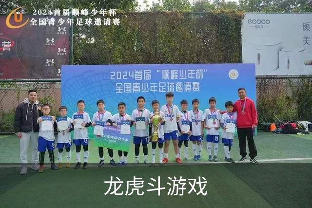 龙虎斗游戏公司介绍图